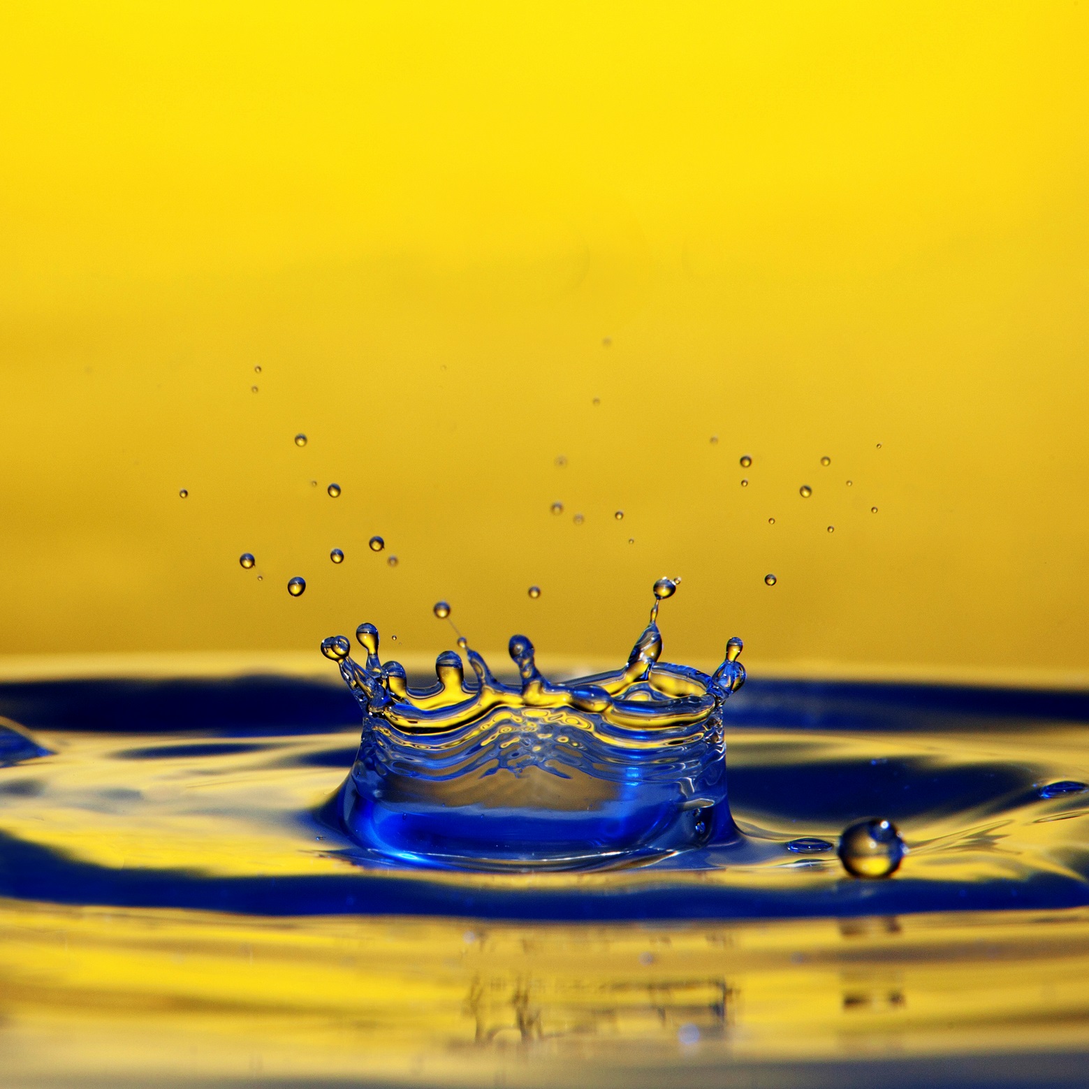 die Bibelstunde der Evangelischen Gemeinschaft Neu Wulmstorf